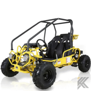 TaoMotor 107cc Kids Go Kart