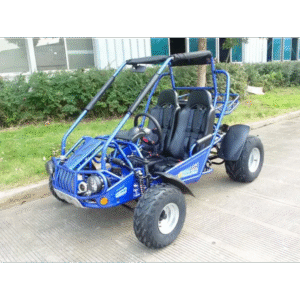 TrailMaster 300cc XRSE Go Kart